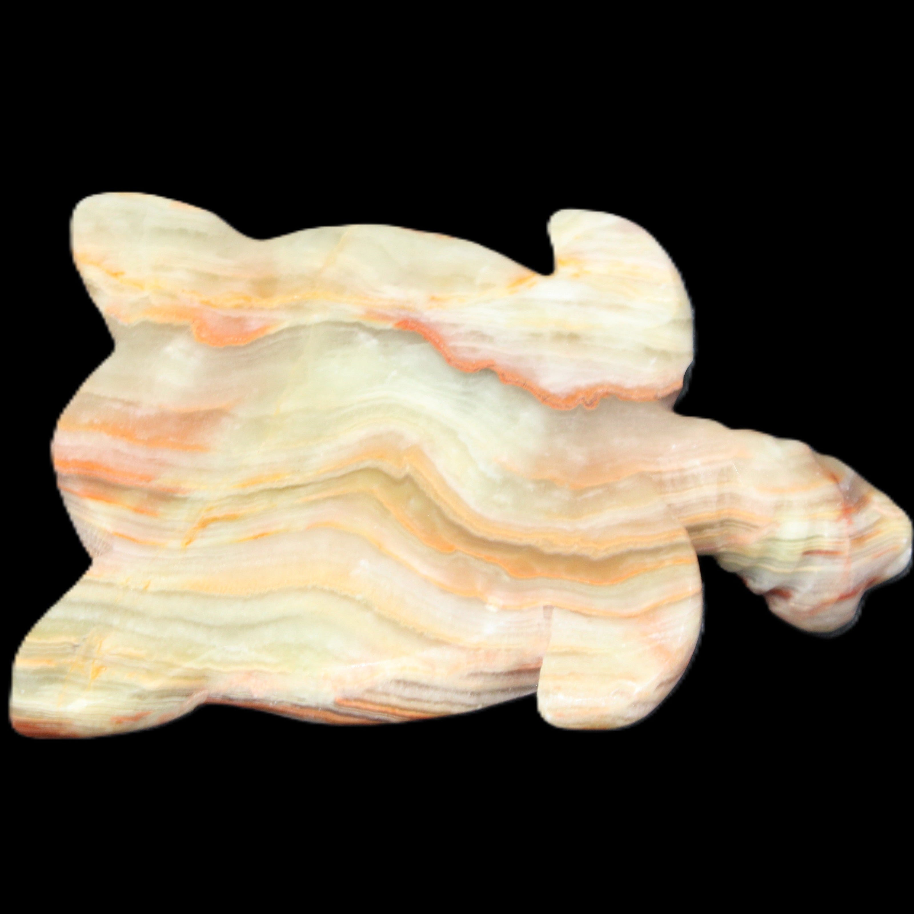 Afghan Jade hand-carved Turtle 105*77*31mm 249g in sunlight - Rocks and Things Store