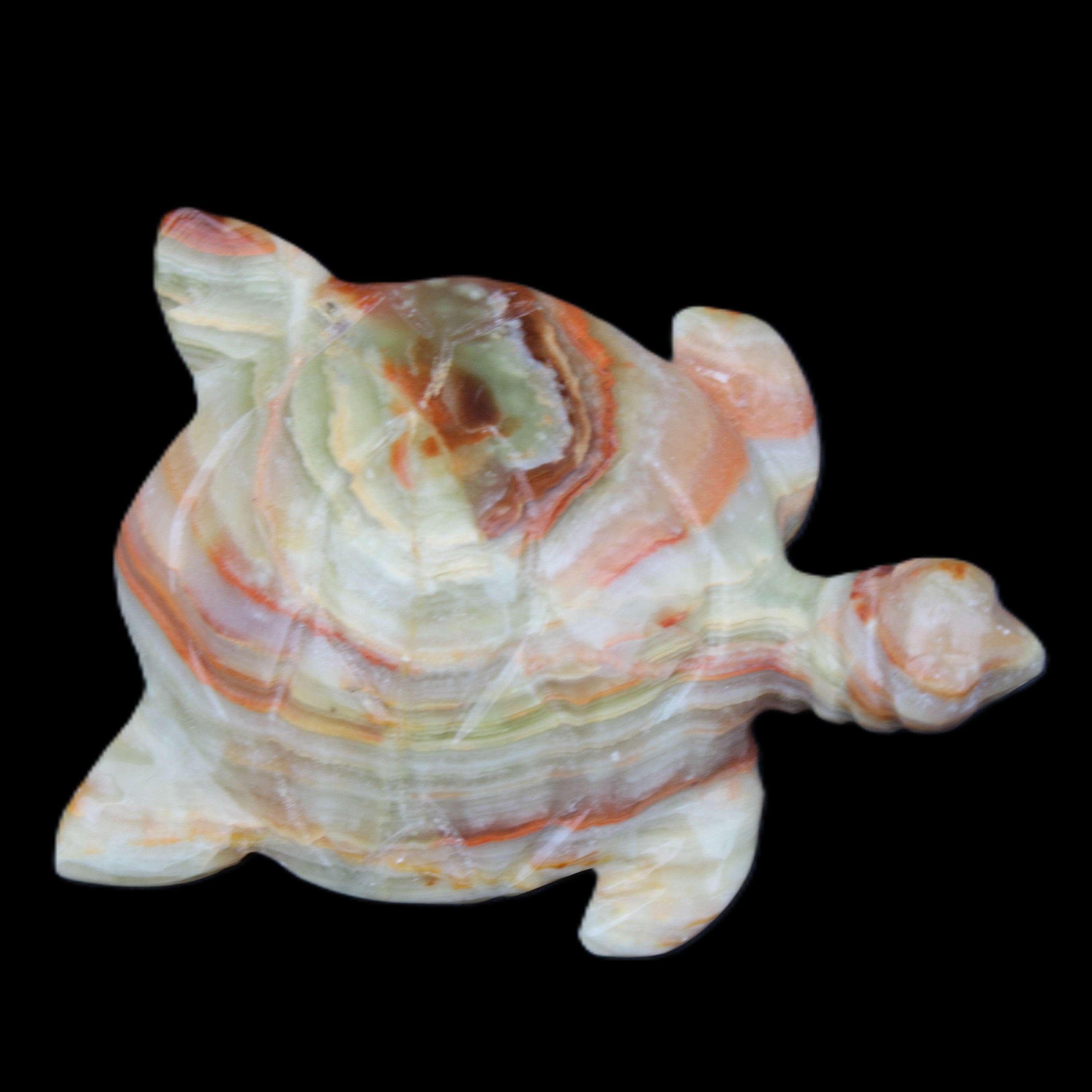 Afghan Jade hand-carved Turtle 105*77*31mm 249g in sunlight - Rocks and Things Store