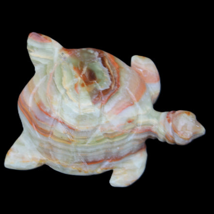 Afghan Jade hand-carved Turtle 105*77*31mm 249g in sunlight - Rocks and Things Store