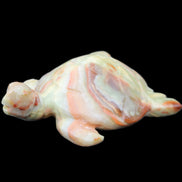 Afghan Jade hand-carved Turtle 105*77*31mm 249g in sunlight - Rocks and Things Store