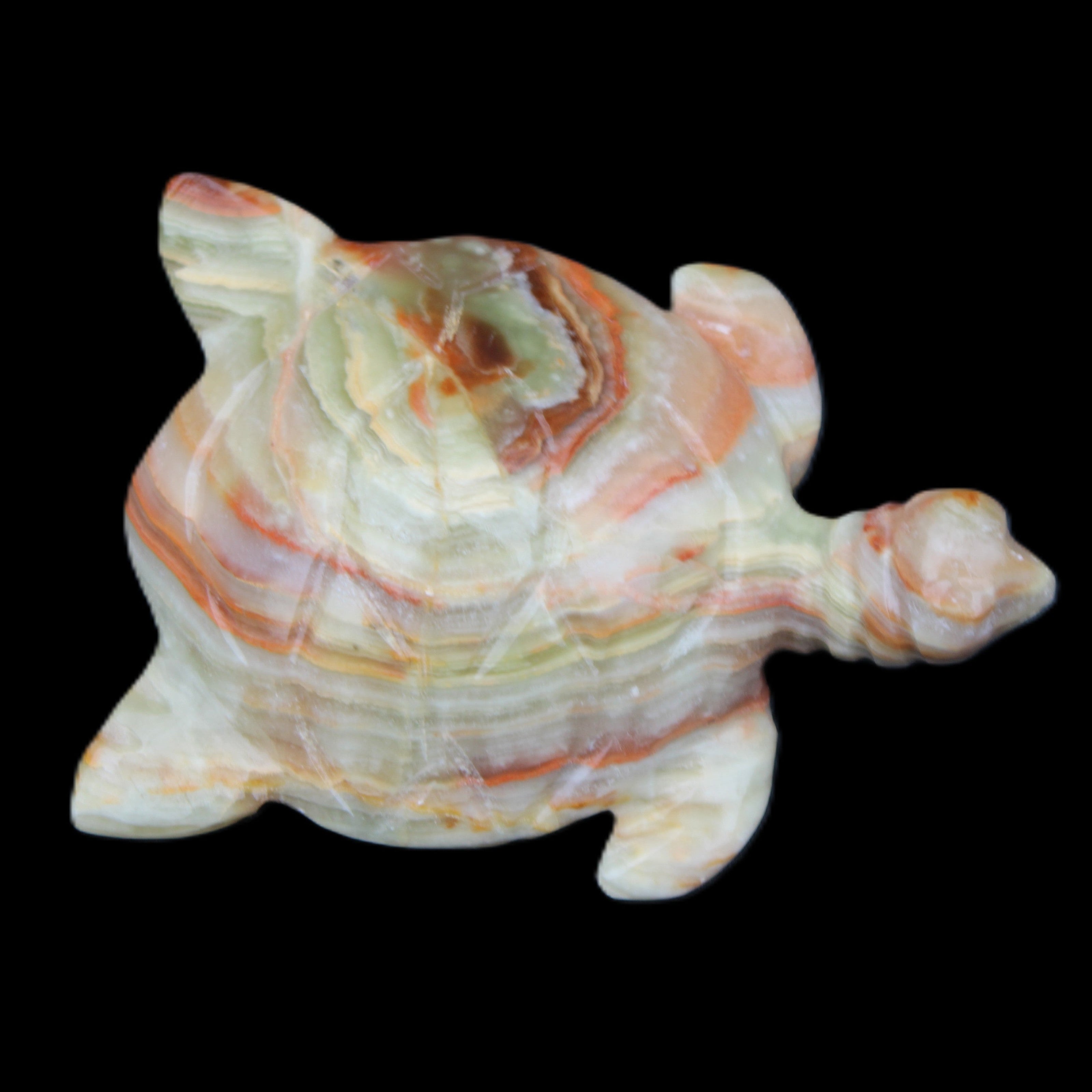 Afghan Jade hand-carved Turtle 105*77*31mm 249g in sunlight - Rocks and Things Store