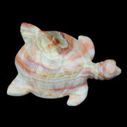 Afghan Jade hand-carved Turtle 105*77*31mm 249g in sunlight - Rocks and Things Store
