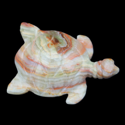 Afghan Jade hand-carved Turtle 105*77*31mm 249g in sunlight - Rocks and Things Store