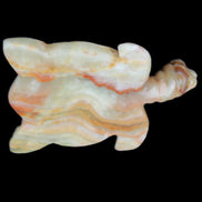 Afghan Jade hand-carved Turtle 105*77*31mm 249g in sunlight - Rocks and Things Store