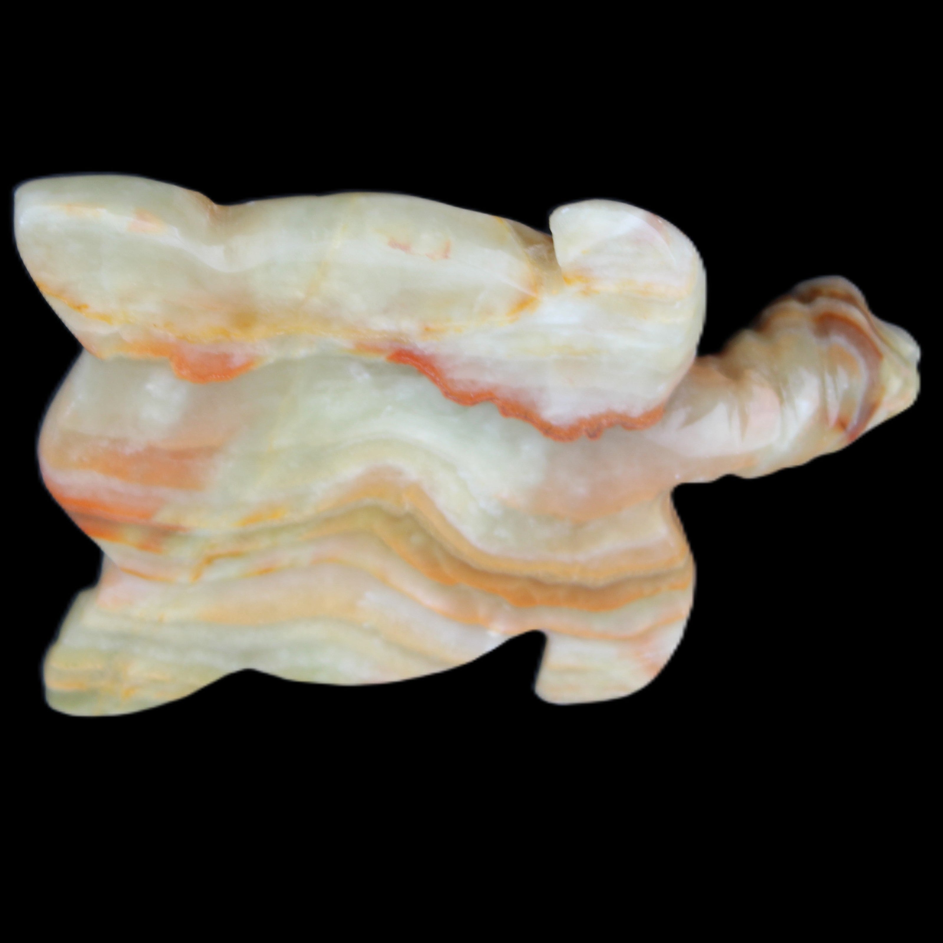 Afghan Jade hand-carved Turtle 105*77*31mm 249g in sunlight - Rocks and Things Store