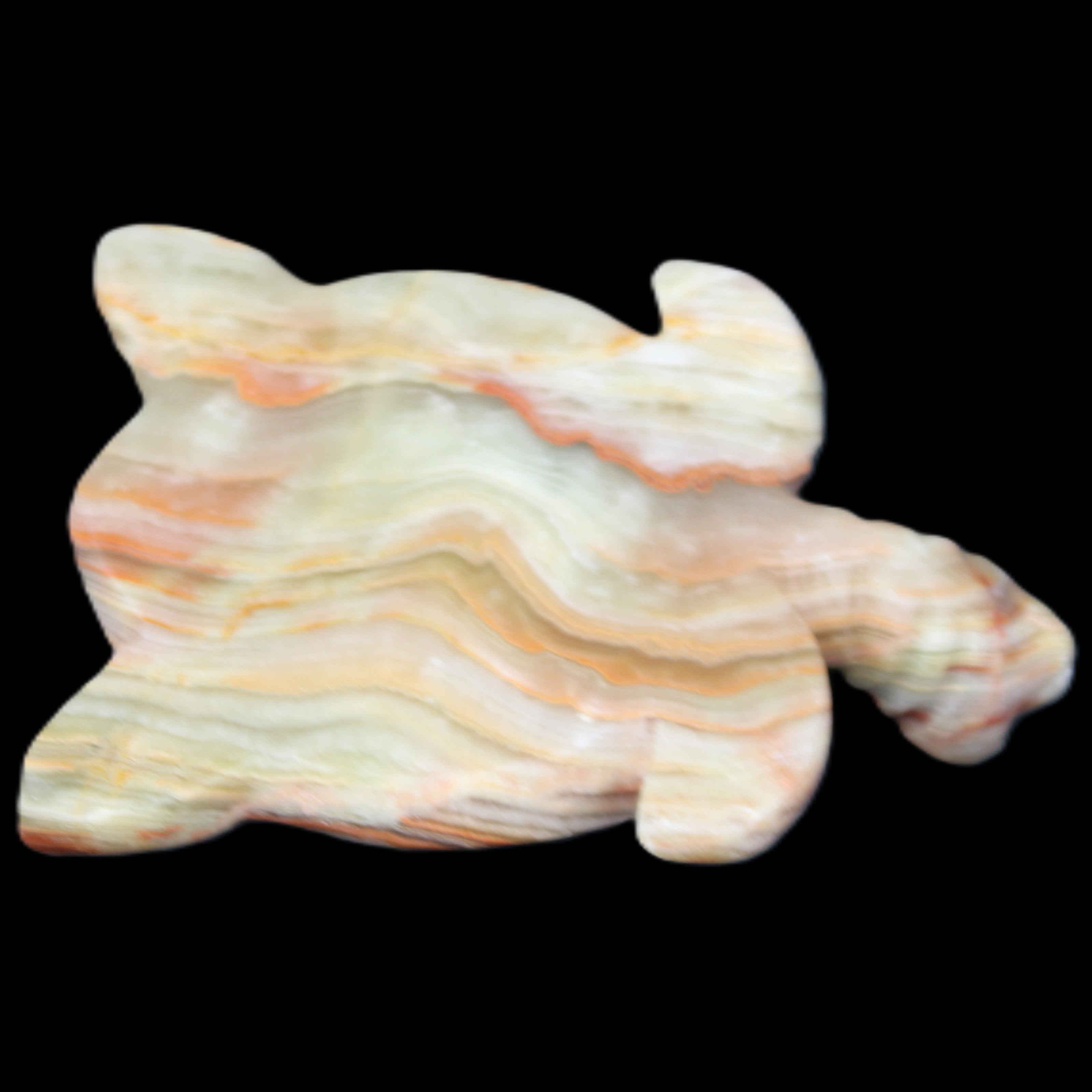 Afghan Jade hand-carved Turtle 105*77*31mm 249g in sunlight - Rocks and Things Store