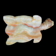 Afghan Jade hand-carved Turtle 105*77*31mm 249g in sunlight - Rocks and Things Store
