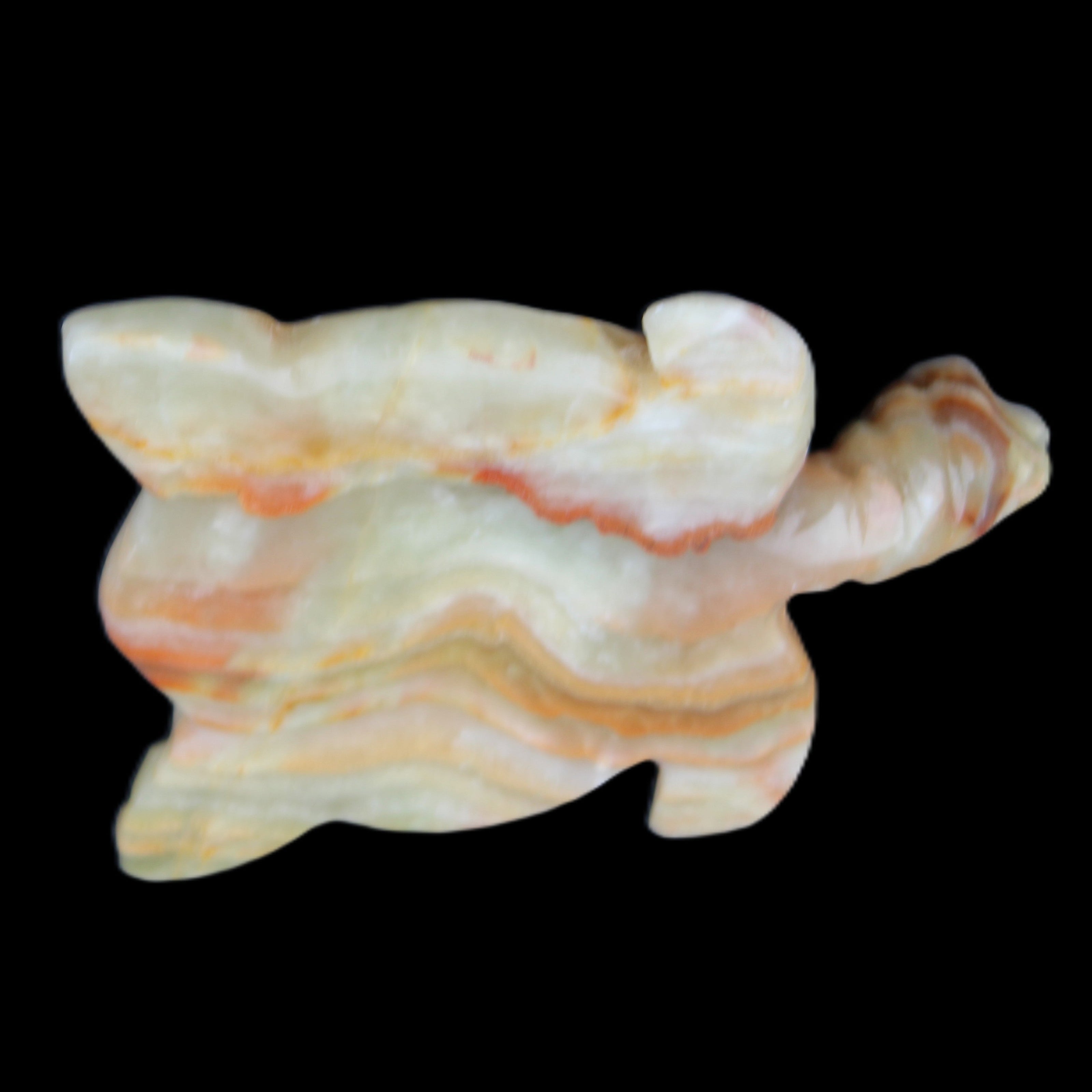 Afghan Jade hand-carved Turtle 105*77*31mm 249g in sunlight - Rocks and Things Store
