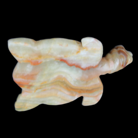 Afghan Jade hand-carved Turtle 105*77*31mm 249g in sunlight - Rocks and Things Store