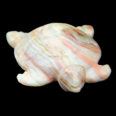 Afghan Jade hand-carved Turtle 105*77*31mm 249g in sunlight - Rocks and Things Store