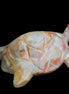 Afghan Jade hand-carved Turtle 100*61*26mm 201g in sunlight - Rocks and Things Store