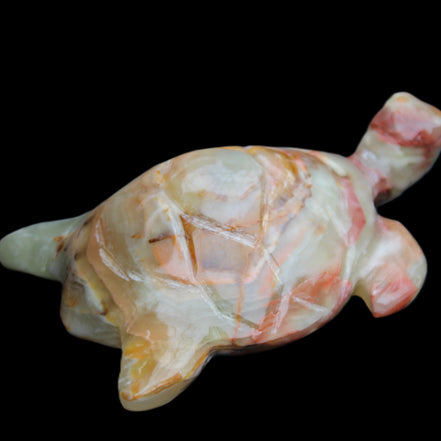 Afghan Jade hand-carved Turtle 100*61*26mm 201g in sunlight - Rocks and Things Store