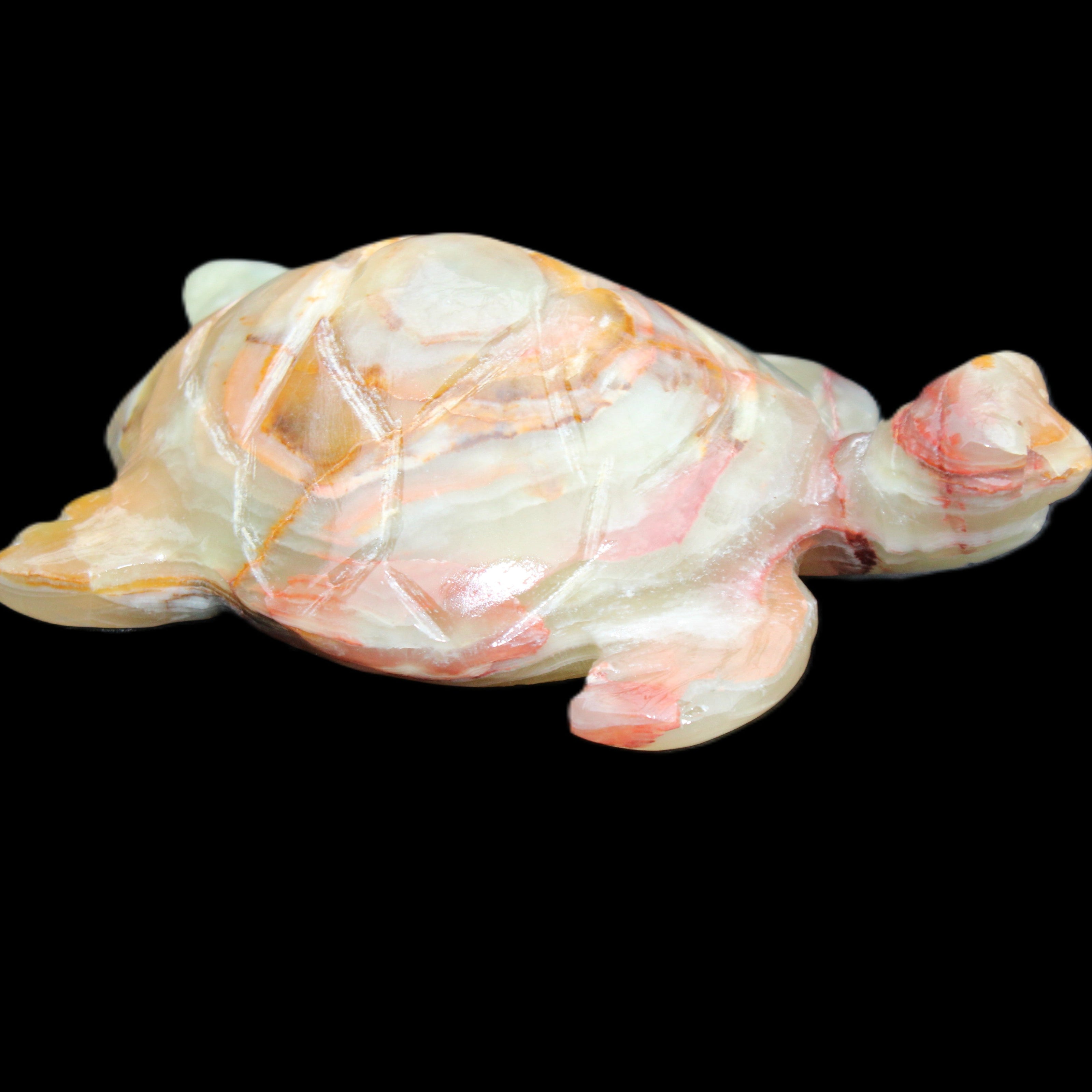 Afghan Jade hand-carved Turtle 100*61*26mm 201g in sunlight - Rocks and Things Store