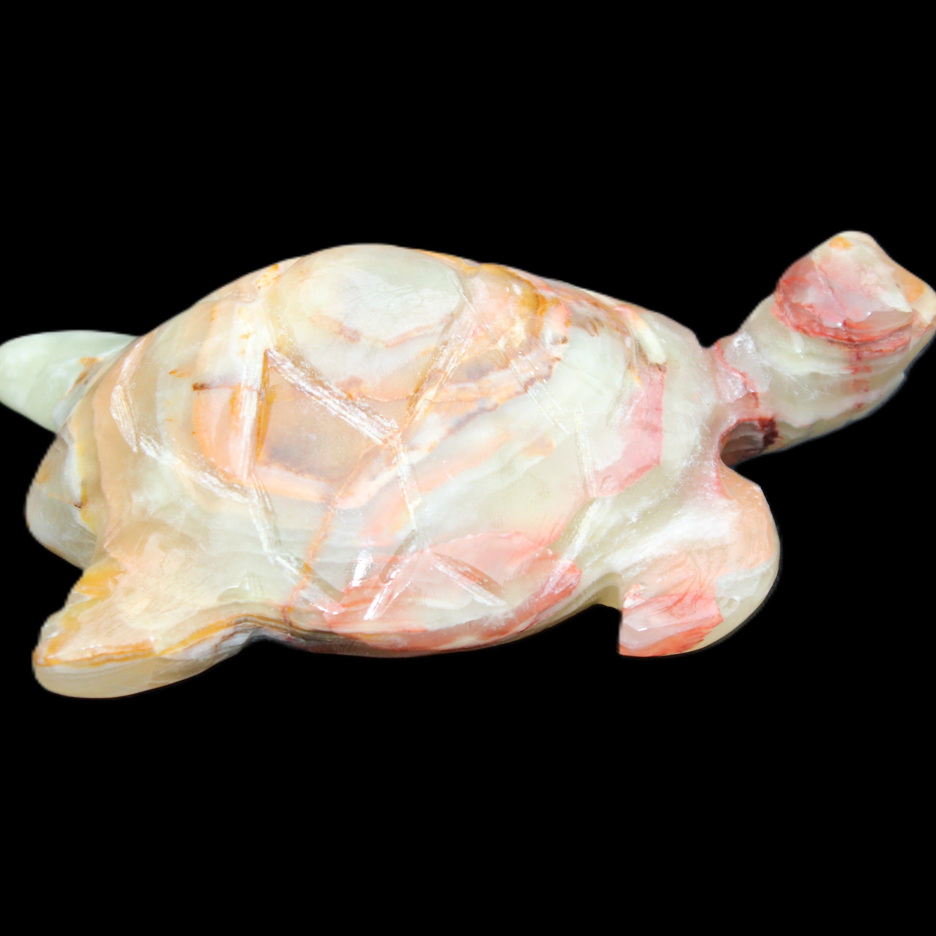 Afghan Jade hand-carved Turtle 100*61*26mm 201g in sunlight - Rocks and Things Store