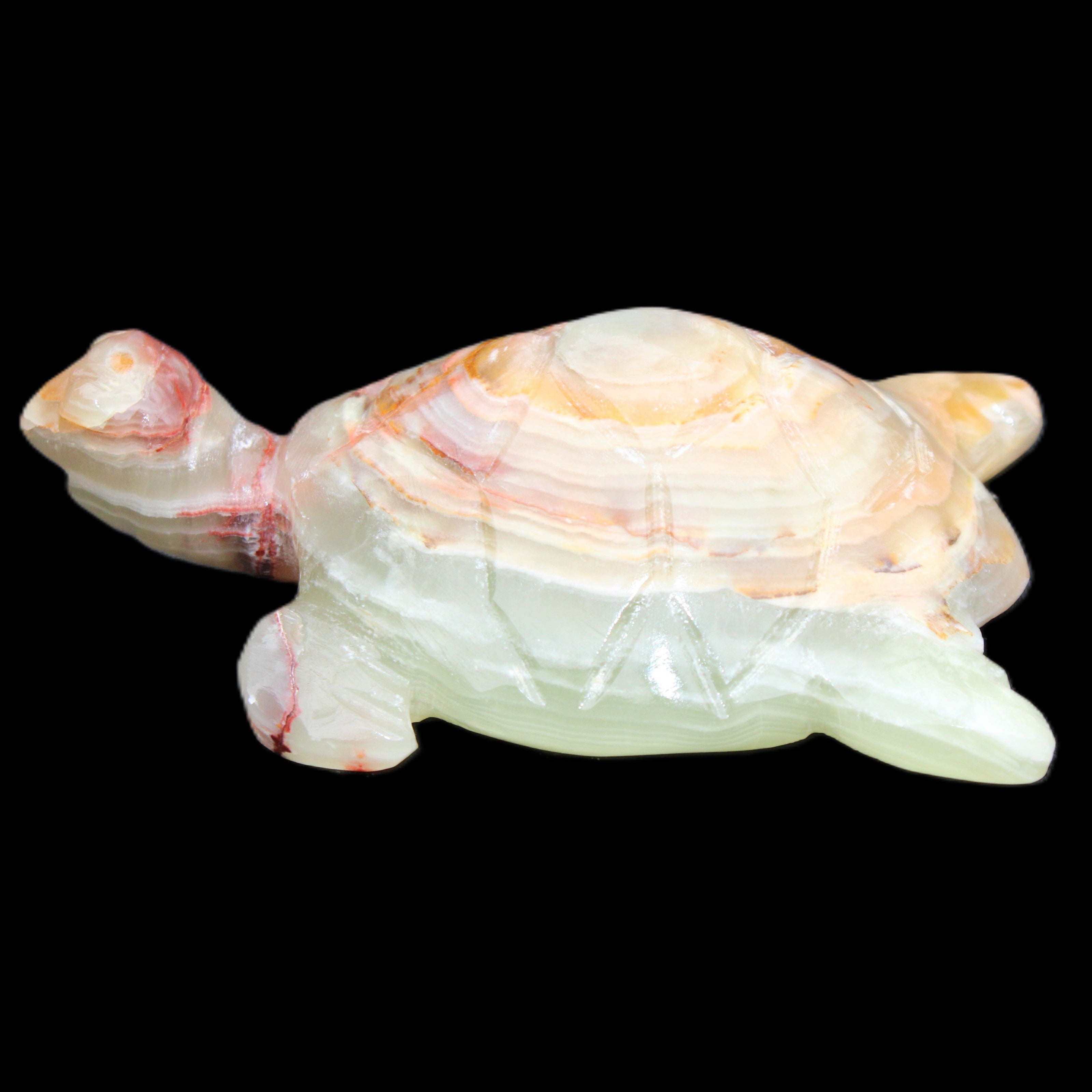 Afghan Jade hand-carved Turtle 100*61*26mm 201g in sunlight - Rocks and Things Store