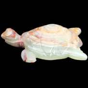 Afghan Jade hand-carved Turtle 100*61*26mm 201g in sunlight - Rocks and Things Store
