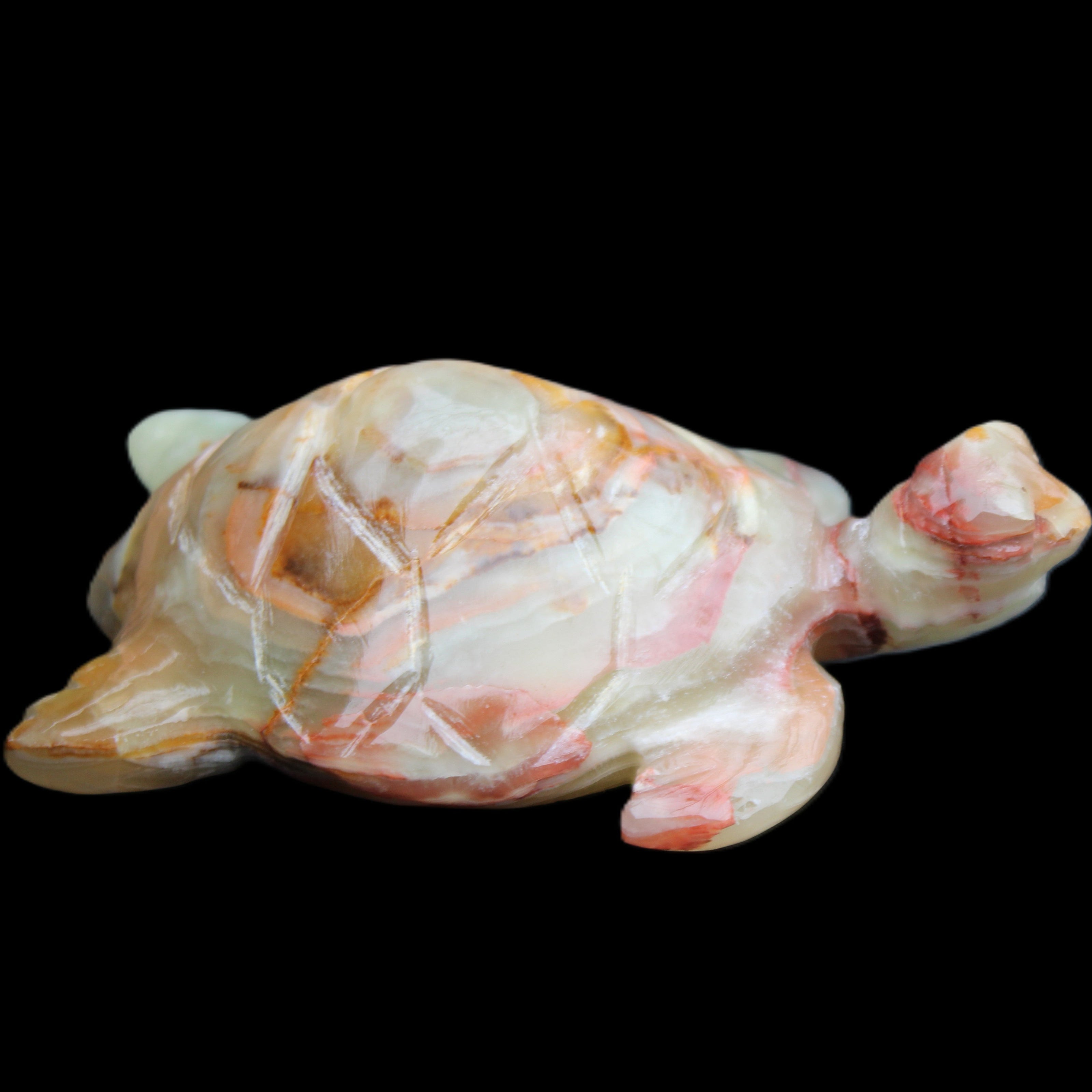 Afghan Jade hand-carved Turtle 100*61*26mm 201g in sunlight - Rocks and Things Store