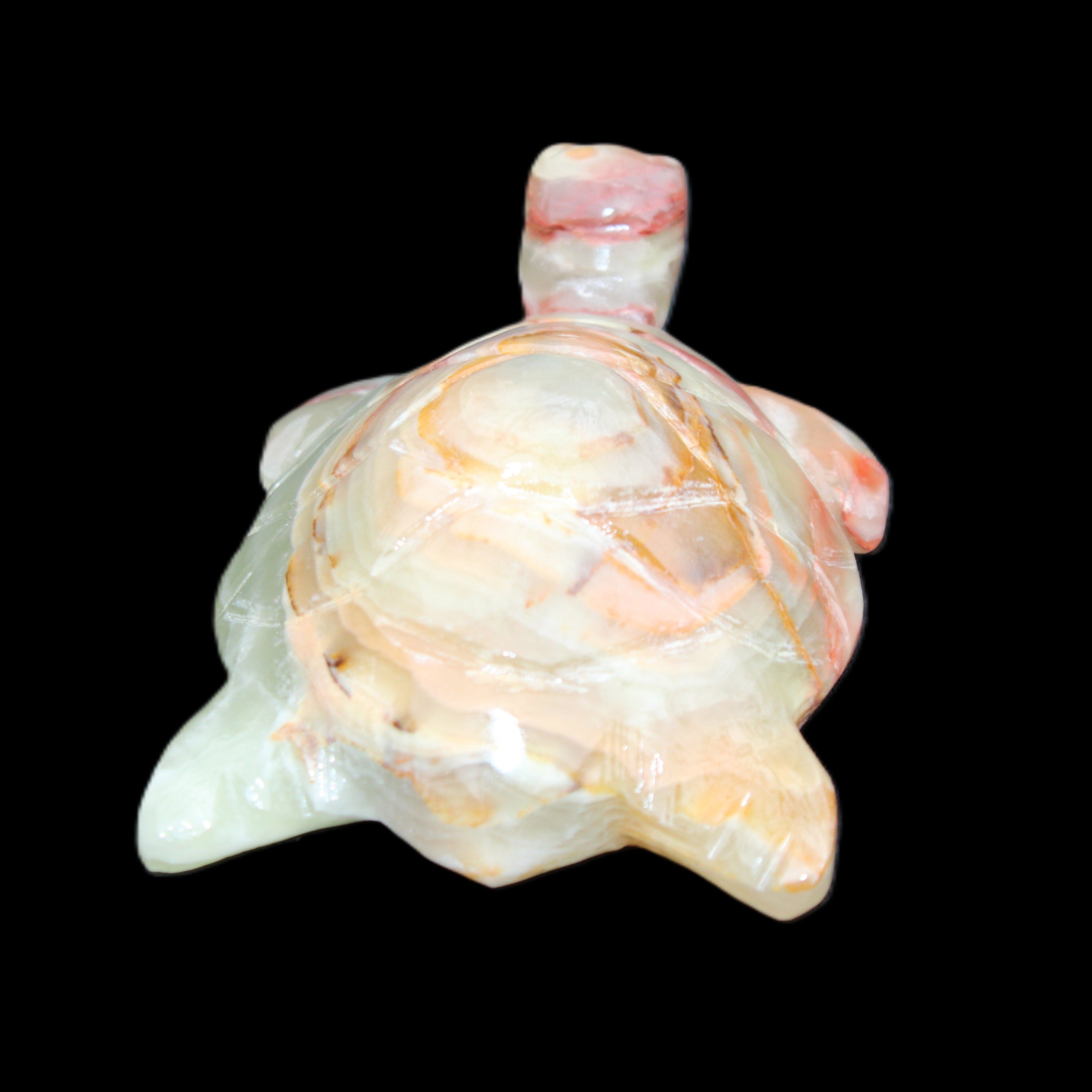 Afghan Jade hand-carved Turtle 100*61*26mm 201g in sunlight - Rocks and Things Store
