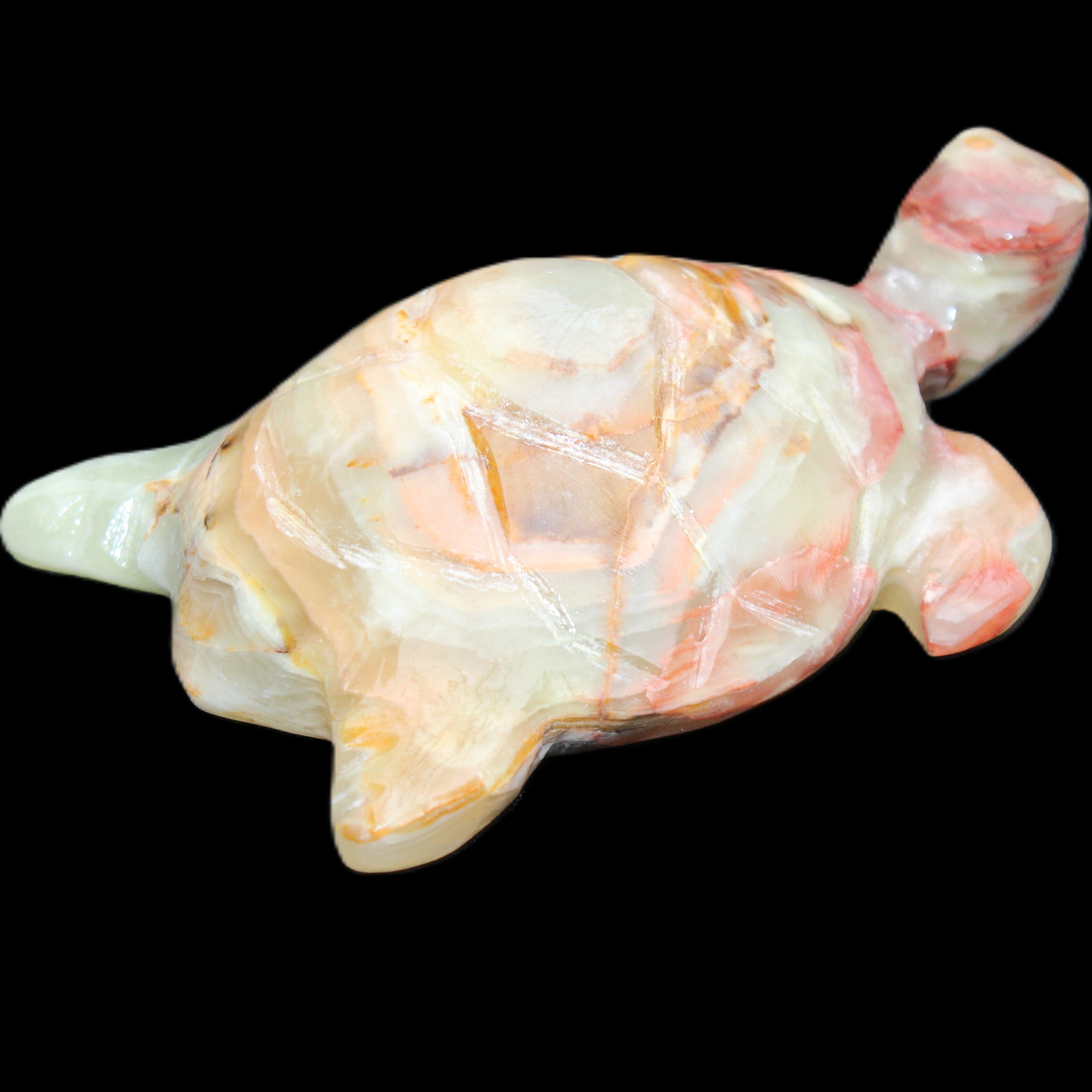 Afghan Jade hand-carved Turtle 100*61*26mm 201g in sunlight - Rocks and Things Store