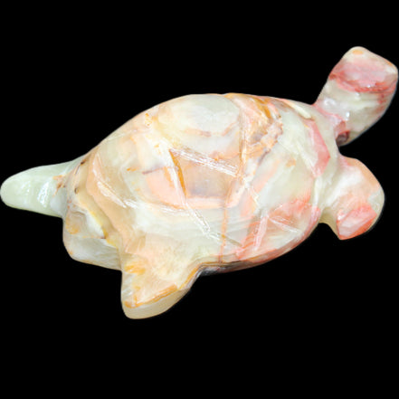 Afghan Jade hand-carved Turtle 100*61*26mm 201g in sunlight - Rocks and Things Store
