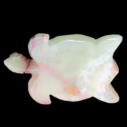 Afghan Jade hand-carved Turtle 100*61*26mm 201g in sunlight - Rocks and Things Store
