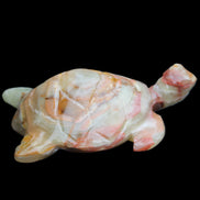 Afghan Jade hand-carved Turtle 100*61*26mm 201g in sunlight - Rocks and Things Store
