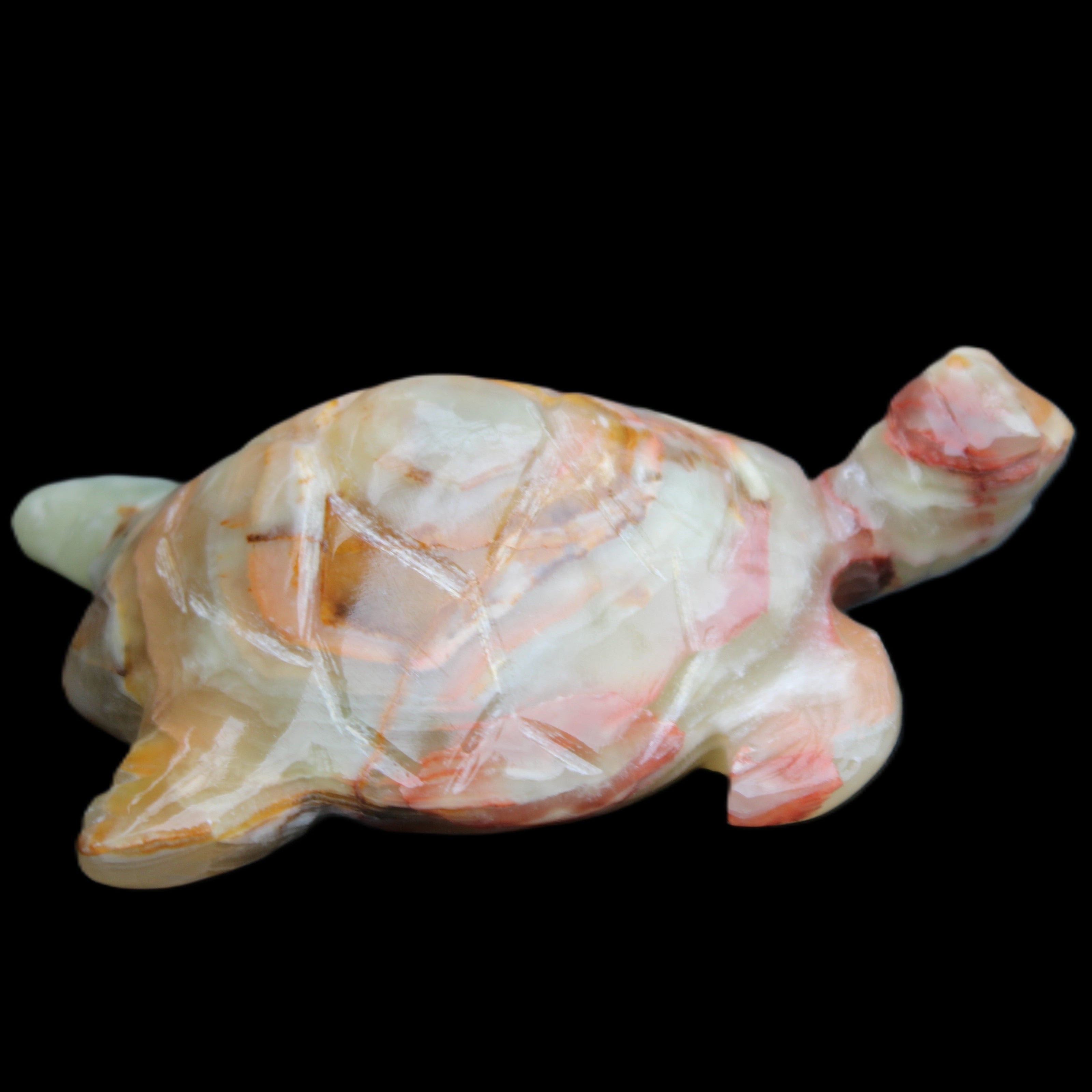 Afghan Jade hand-carved Turtle 100*61*26mm 201g in sunlight - Rocks and Things Store