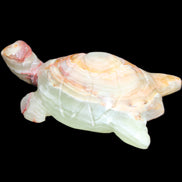 Afghan Jade hand-carved Turtle 100*61*26mm 201g in sunlight - Rocks and Things Store