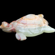 Afghan Jade hand-carved Turtle 100*61*26mm 201g in sunlight - Rocks and Things Store