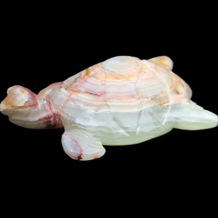 Afghan Jade hand-carved Turtle 100*61*26mm 201g in sunlight - Rocks and Things Store