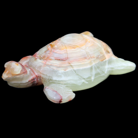 Afghan Jade hand-carved Turtle 100*61*26mm 201g in sunlight - Rocks and Things Store