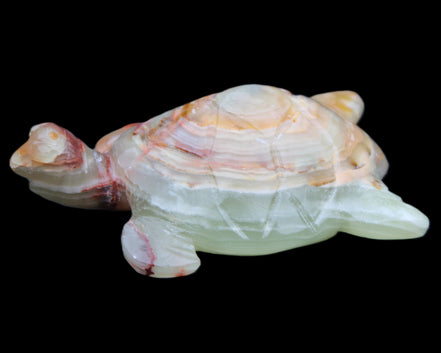 Afghan Jade hand-carved Turtle 100*61*26mm 201g in sunlight - Rocks and Things Store