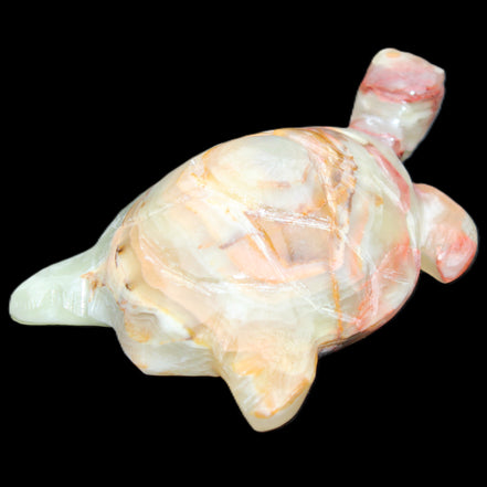 Afghan Jade hand-carved Turtle 100*61*26mm 201g in sunlight - Rocks and Things Store