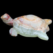 Afghan Jade hand-carved Turtle 100*61*26mm 201g in sunlight - Rocks and Things Store