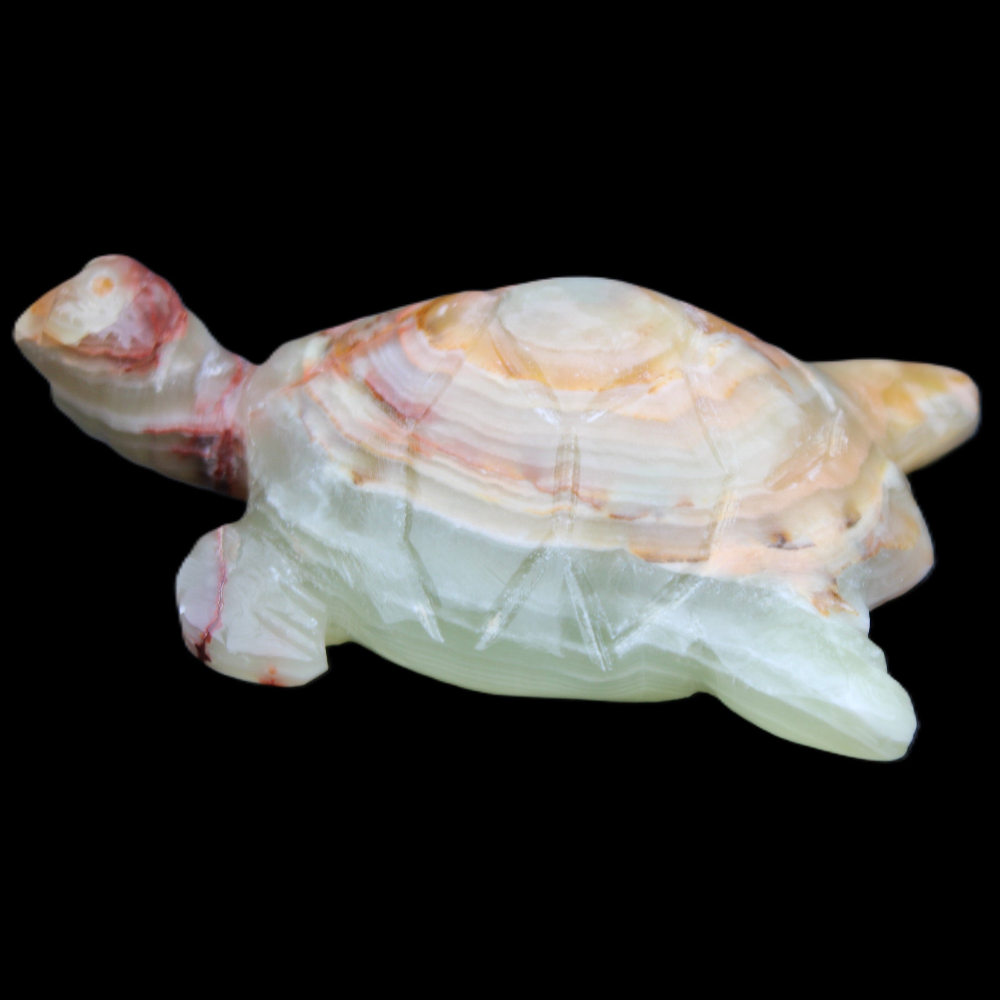 Afghan Jade hand-carved Turtle 100*61*26mm 201g in sunlight - Rocks and Things Store