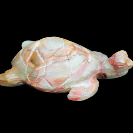Afghan Jade hand-carved Turtle 100*61*26mm 201g in sunlight - Rocks and Things Store