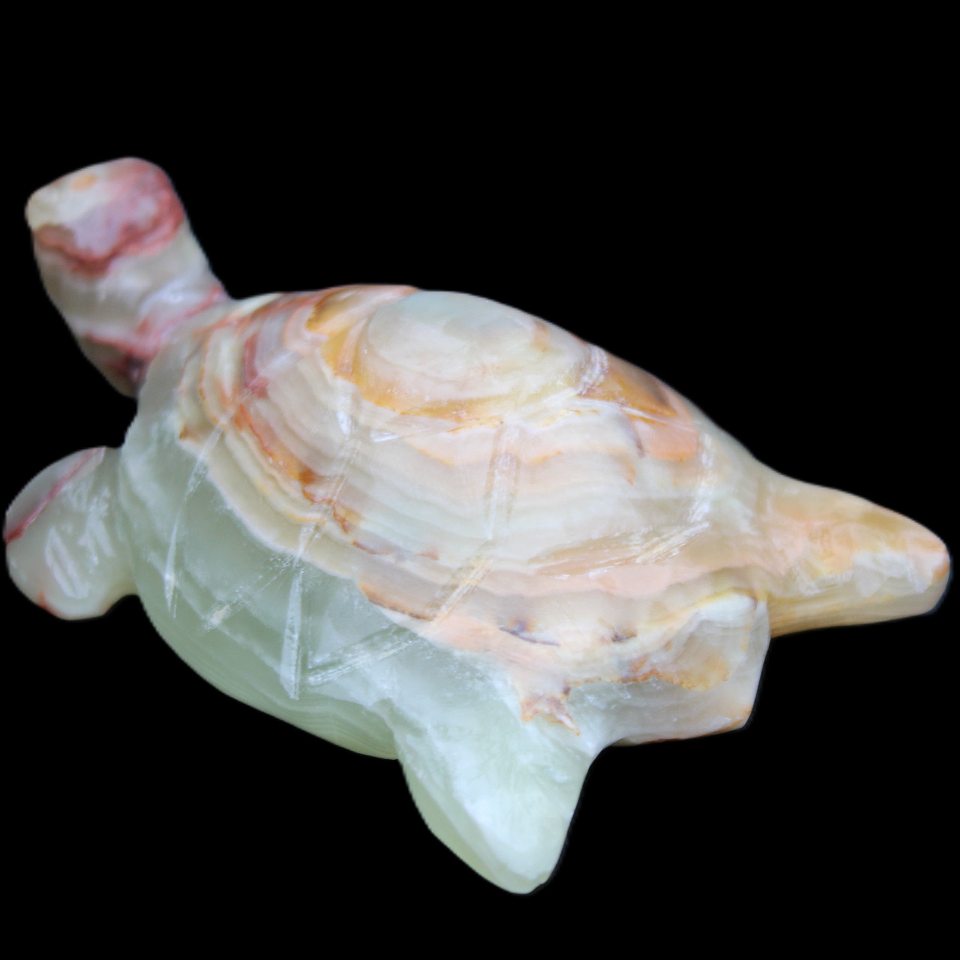 Afghan Jade hand-carved Turtle 100*61*26mm 201g in sunlight - Rocks and Things Store