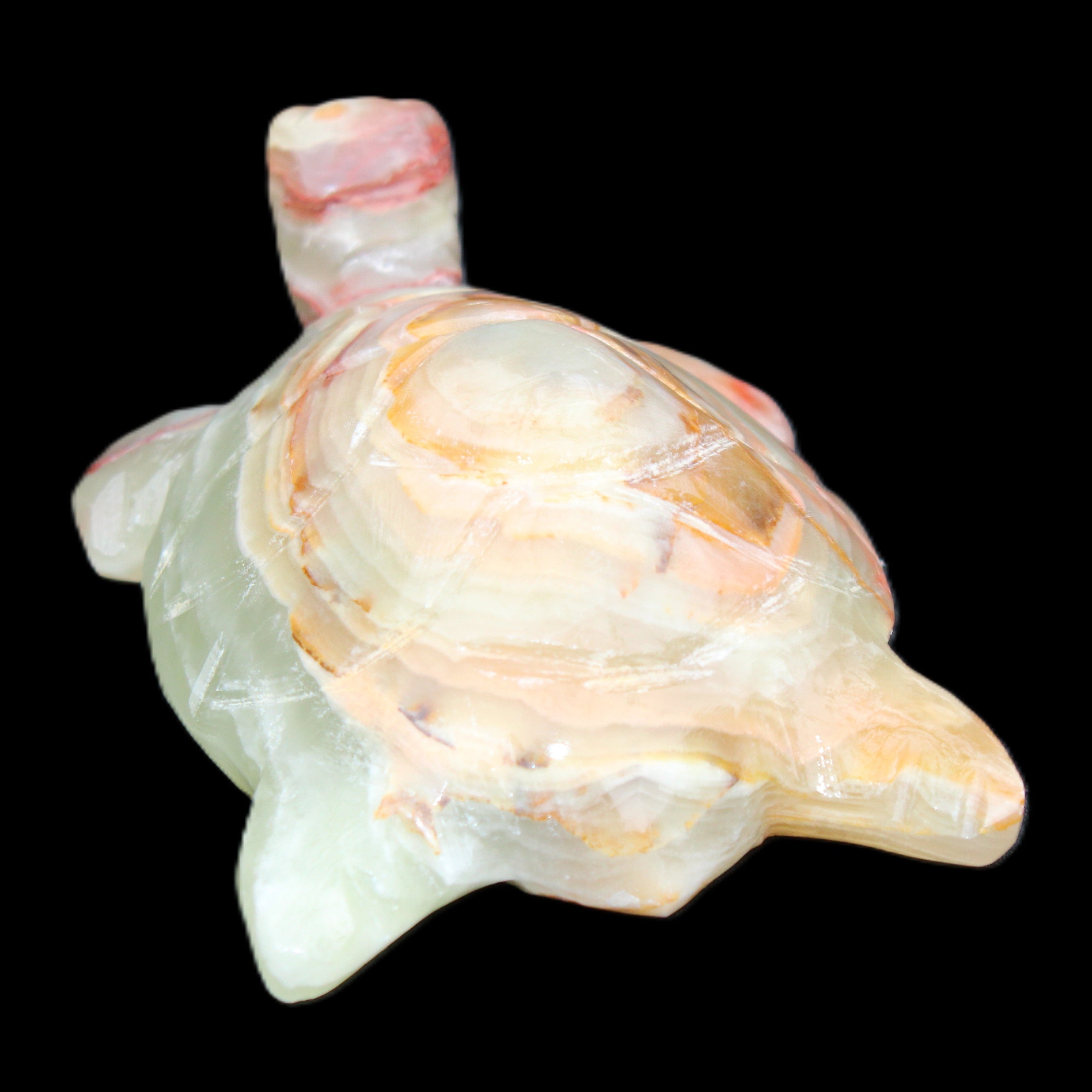 Afghan Jade hand-carved Turtle 100*61*26mm 201g in sunlight - Rocks and Things Store
