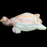 Afghan Jade hand-carved Turtle 100*61*26mm 201g in sunlight - Rocks and Things Store