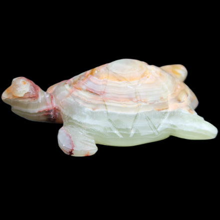 Afghan Jade hand-carved Turtle 100*61*26mm 201g in sunlight - Rocks and Things Store