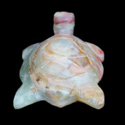 Afghan Jade hand-carved Turtle 100*61*26mm 201g in sunlight - Rocks and Things Store