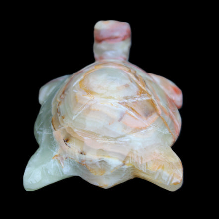 Afghan Jade hand-carved Turtle 100*61*26mm 201g in sunlight - Rocks and Things Store