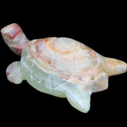 Afghan Jade hand-carved Turtle 100*61*26mm 201g in sunlight - Rocks and Things Store