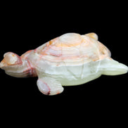 Afghan Jade hand-carved Turtle 100*61*26mm 201g in sunlight - Rocks and Things Store