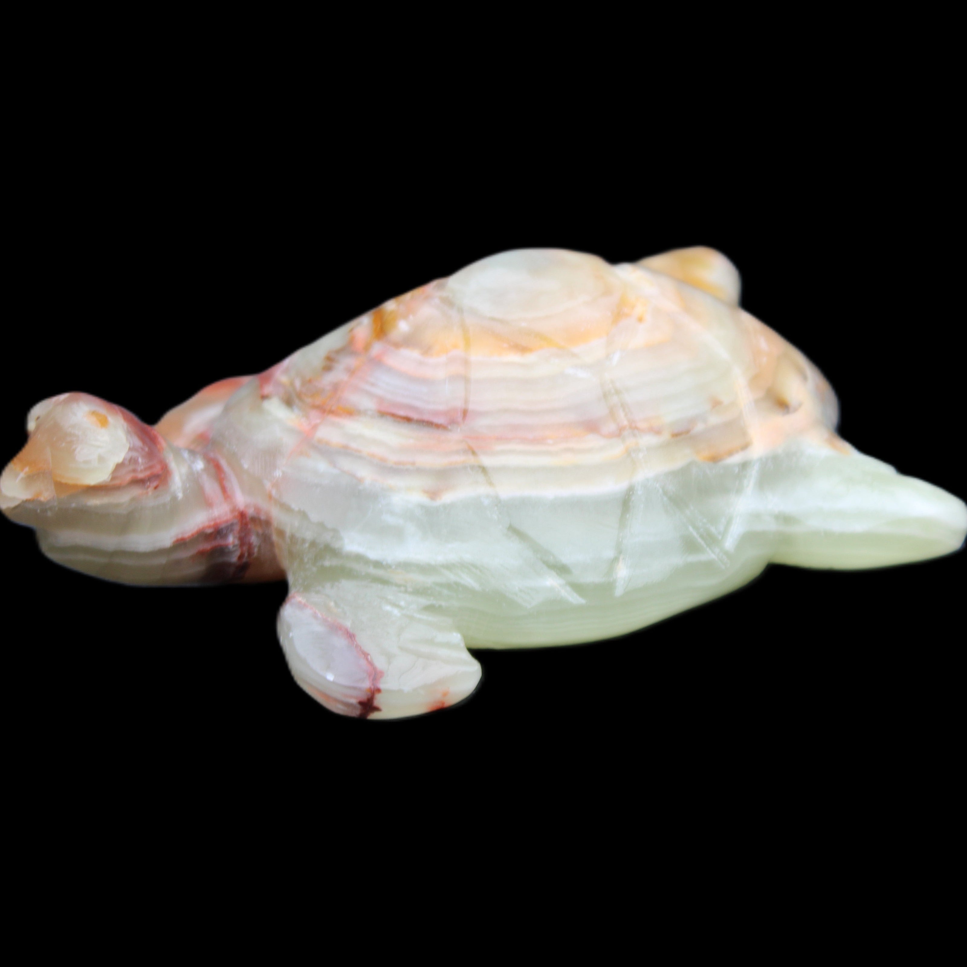 Afghan Jade hand-carved Turtle 100*61*26mm 201g in sunlight - Rocks and Things Store