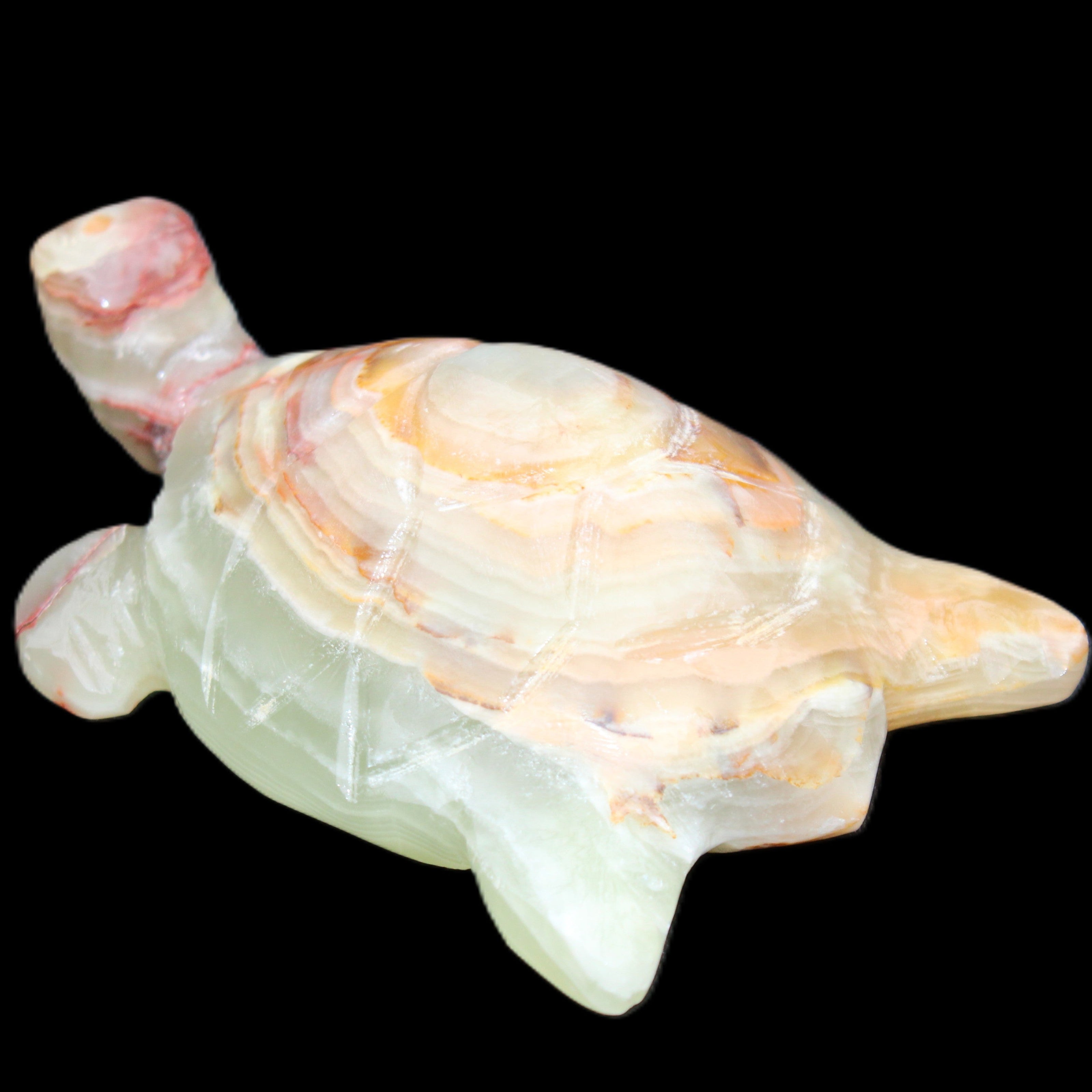 Afghan Jade hand-carved Turtle 100*61*26mm 201g in sunlight - Rocks and Things Store