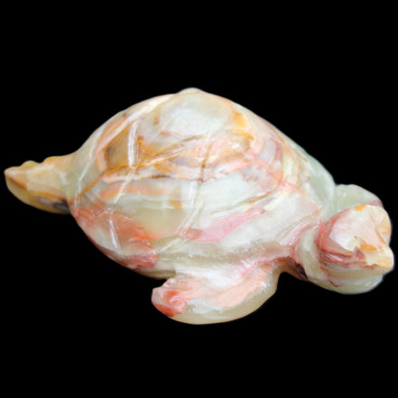Afghan Jade hand-carved Turtle 100*61*26mm 201g in sunlight - Rocks and Things Store