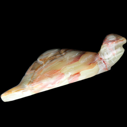 Afghan Jade hand-carved Turtle 100*61*26mm 201g in sunlight - Rocks and Things Store