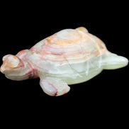 Afghan Jade hand-carved Turtle 100*61*26mm 201g in sunlight - Rocks and Things Store