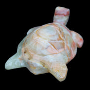 Afghan Jade hand-carved Turtle 100*61*26mm 201g in sunlight - Rocks and Things Store